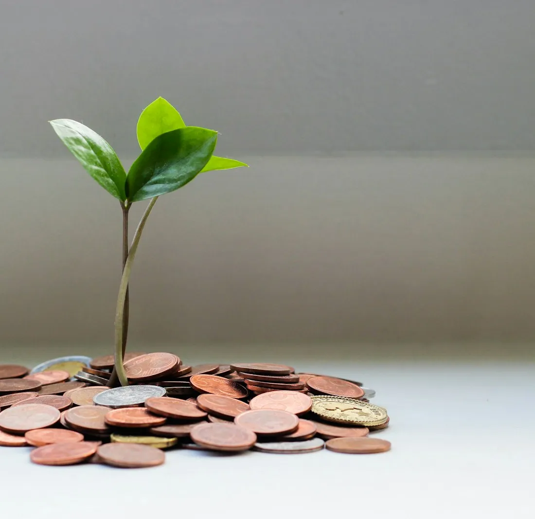 No pongas todo tu dinero en una sola inversión
