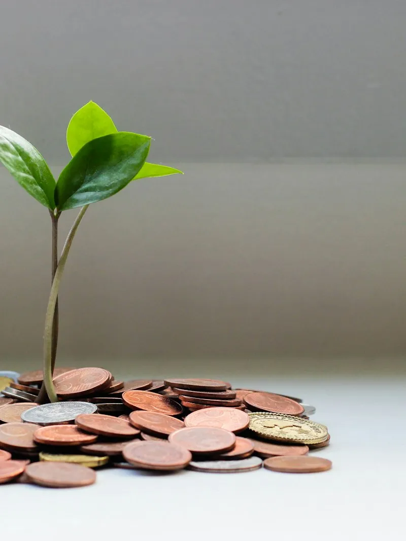 No pongas todo tu dinero en una sola inversión